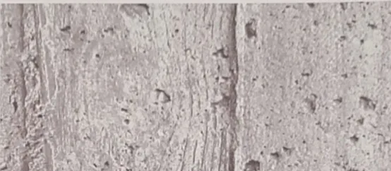 concrete woodgrain steel